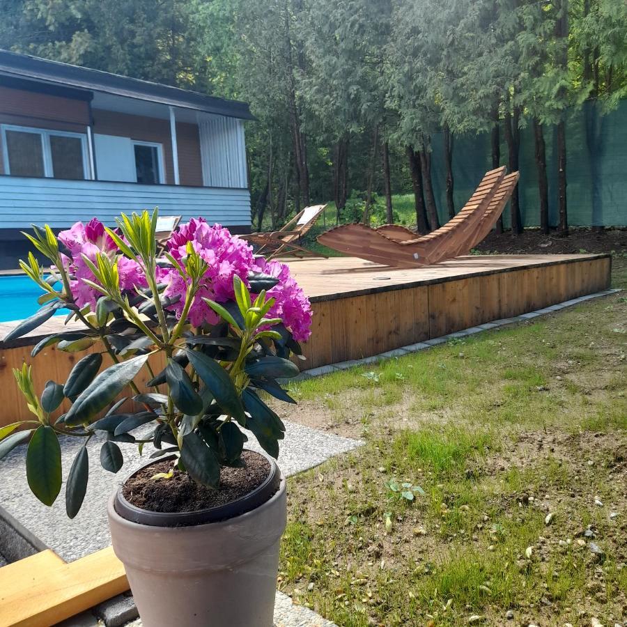 Bungalows Sonnenblume Am Klopeiner See 圣卡荐 外观 照片