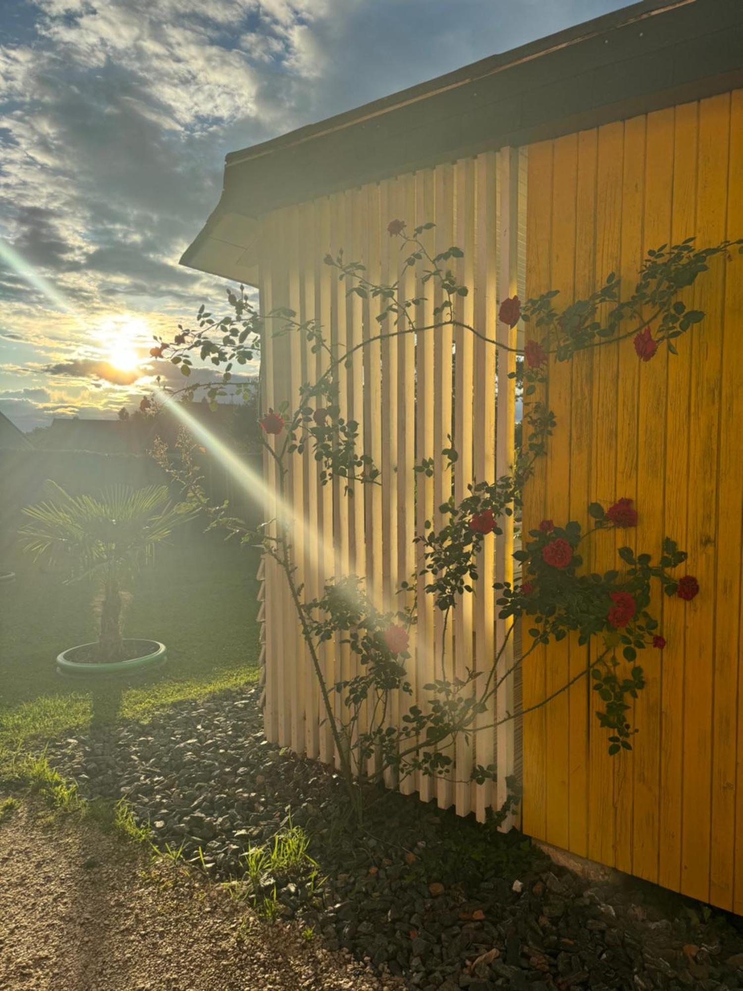 Bungalows Sonnenblume Am Klopeiner See 圣卡荐 外观 照片